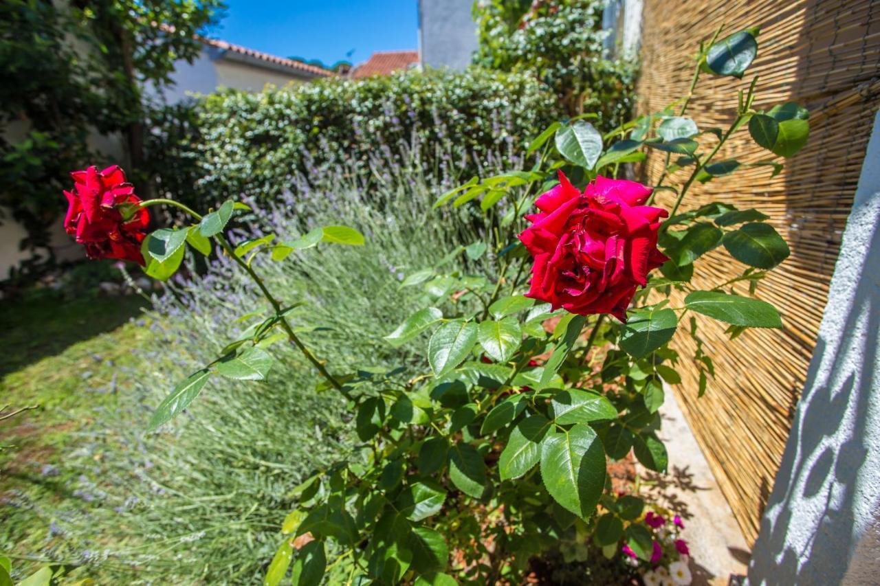 Apartment Rosse Poreč Eksteriør bilde