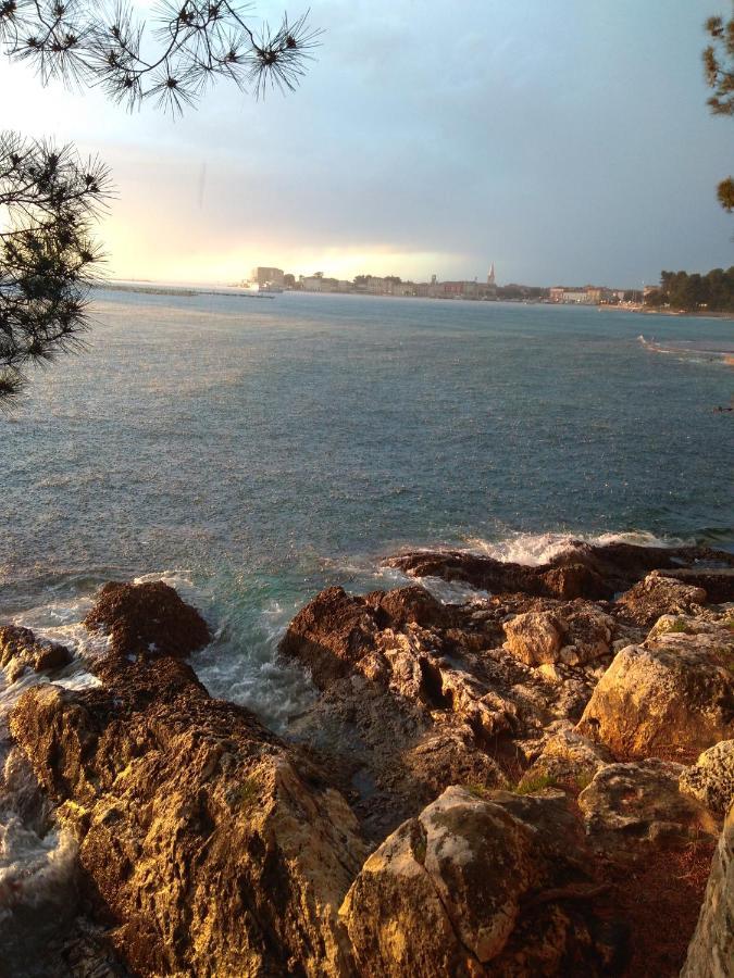 Apartment Rosse Poreč Eksteriør bilde